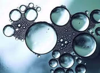 Phospholipids and Fatty Acids Illustration