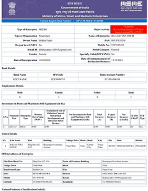 Udyam Registration Number