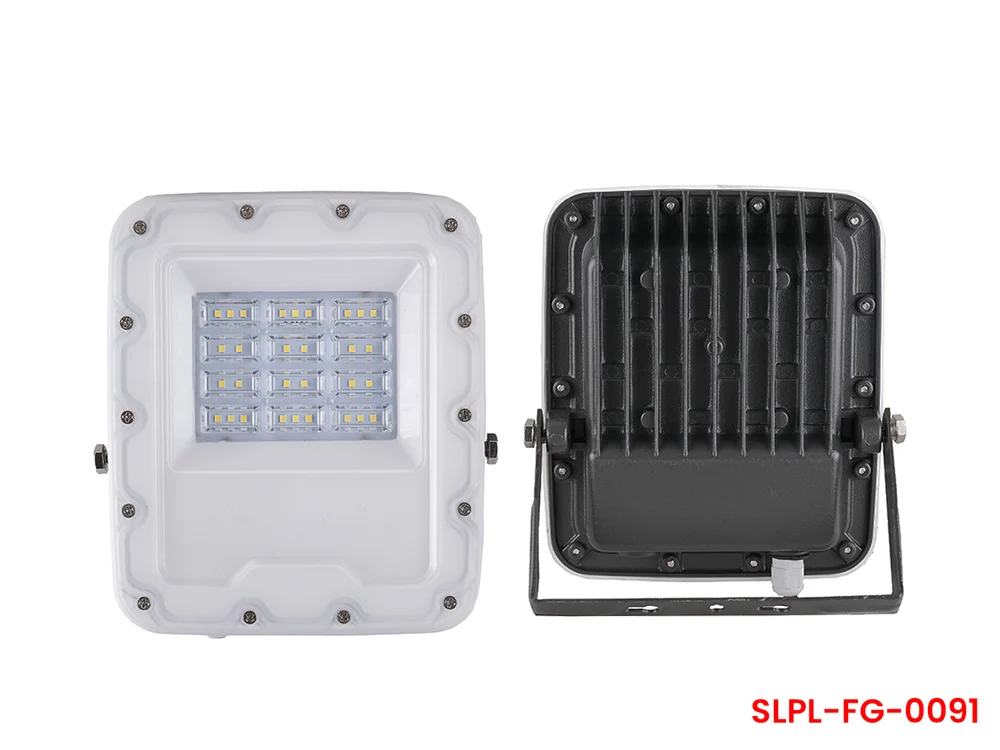 30W Flood Light Pro Lens