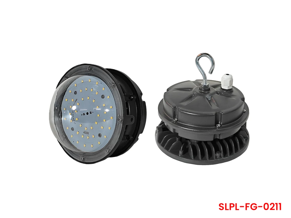 40W Well Glass Clear Dome