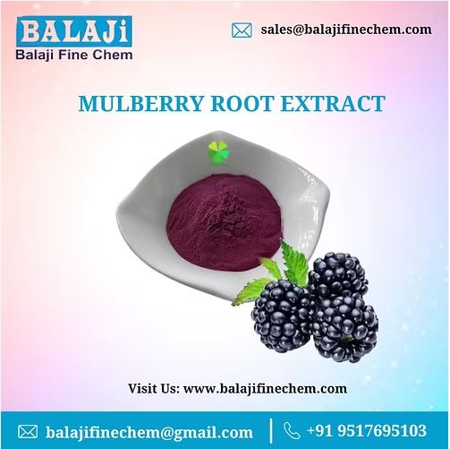 Mulberry Root Extract