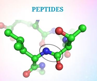 Peptides