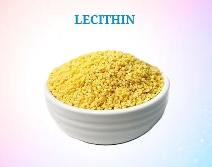 Lecithin