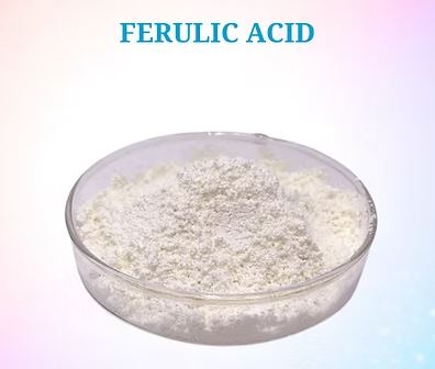 Ferulic Acid