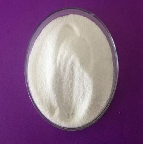 Flucloxacillin Sodium Powder