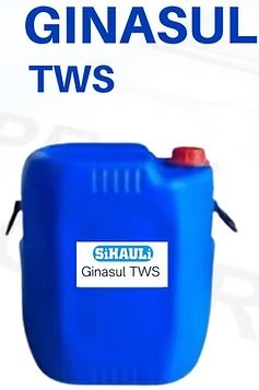 Ginasul TWS